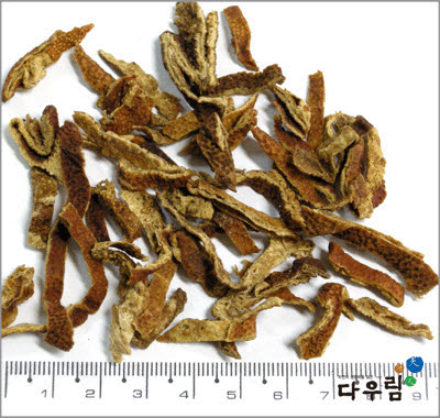 진피(토) 1kg.